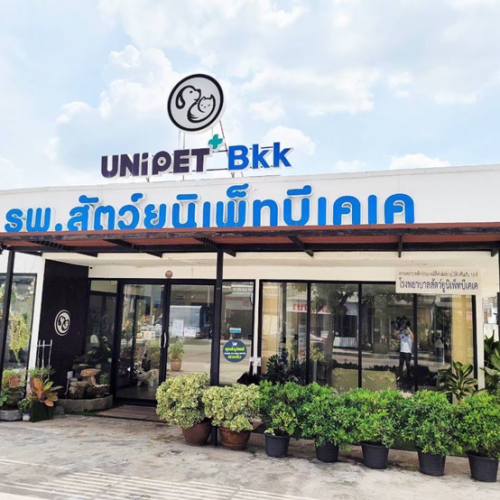 โรงพยาบาลสัตว์ ยูนิเพ็ทบีเคเค AboutUs1